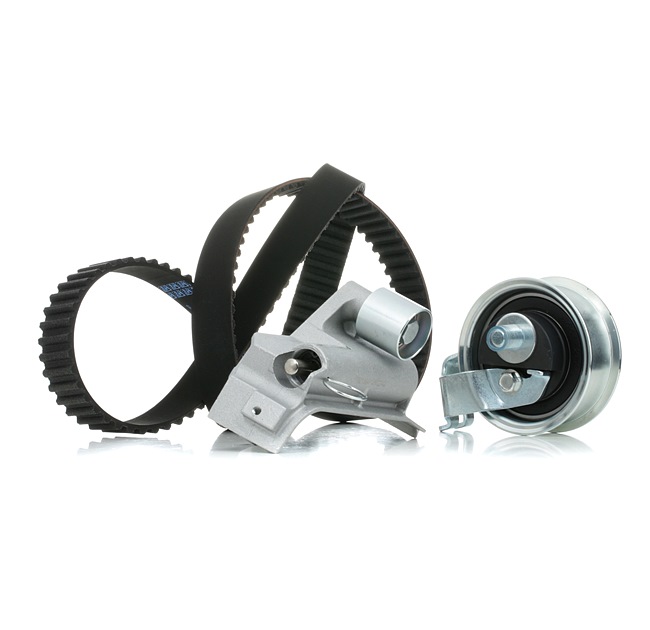Kamremssats 307T0229 RIDEX 06B109119C AUDI