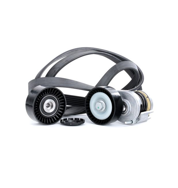 RIDEX 542R0047 Drivremssats