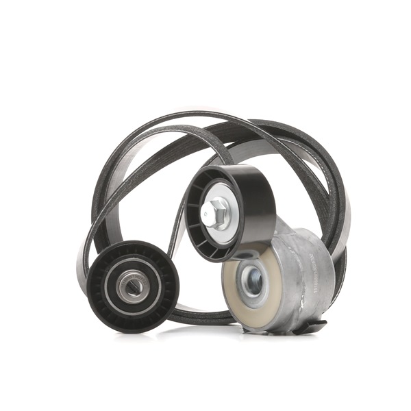 RIDEX 542R0048 Poly v riemen kit Citroen Jumpy Van 1.6 HDi 16V 90 Pk Diesel prijs