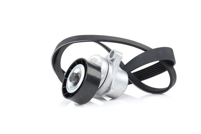 RIDEX 542R0006 Keilrippenriemensatz Citroën C4 Mk1 1.6 16V Bio-Flex 109 PS Benzin/Ethanol Kosten