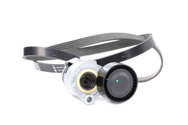 RIDEX 542R0011 Σετ ιμάντων poly-v Renault Clio 2 Hatchback 1.5 dCi 65 PS Πετρέλαιο τιμες