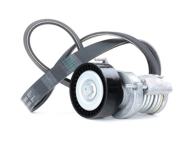 RIDEX Ozubený klinový remeň - Sada 542R0036 Sada klinového rebrovaného remena RIDEX JAGUAR 542R0036