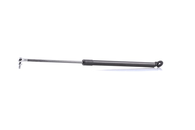 RIDEX 219G0442 Heckklappendämpfer