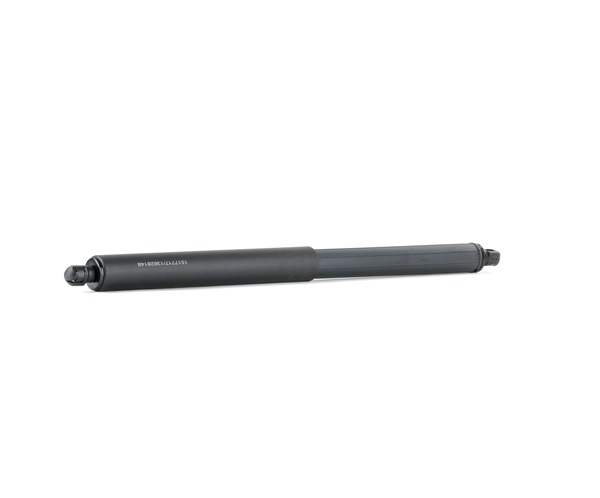 RIDEX 219G0444 Heckklappendämpfer