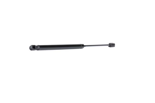 RIDEX 219G0702 Vérin de coffre