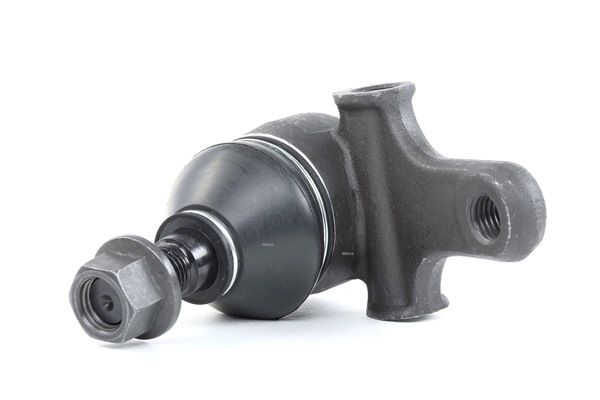Balst- / Virzošais šarnīrs 2462S0115 RIDEX NA01 34 550 B Volkswagen