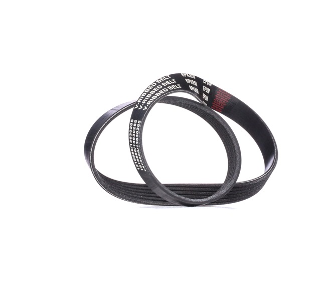 Poly-V-snaar RIDEX TERIOS 305P0317 goedkoop