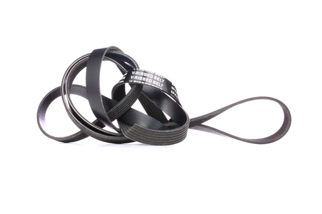 RIDEX 305P0328 Courroie Poly-V