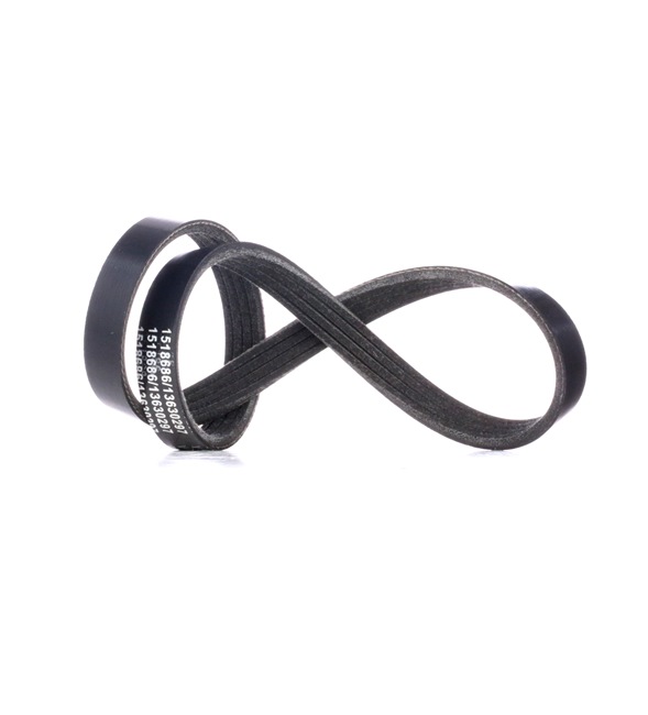 RIDEX 305P0342 Cinghia servizi