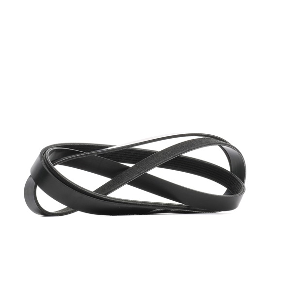 RIDEX 305P0349 Multiriem
