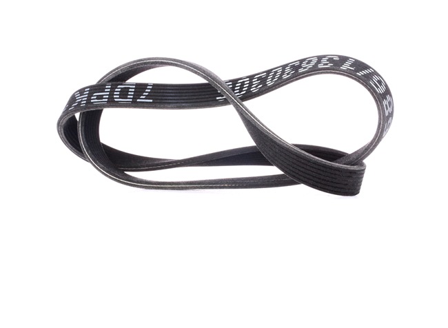 RIDEX 305P0356 Cinghia servizi