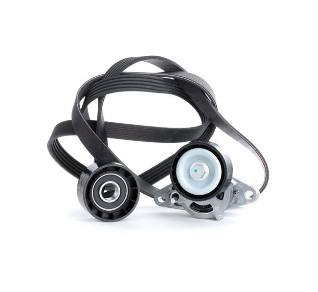 Cinghia servizi 542R0019 RIDEX 11920 00Q0B RENAULT