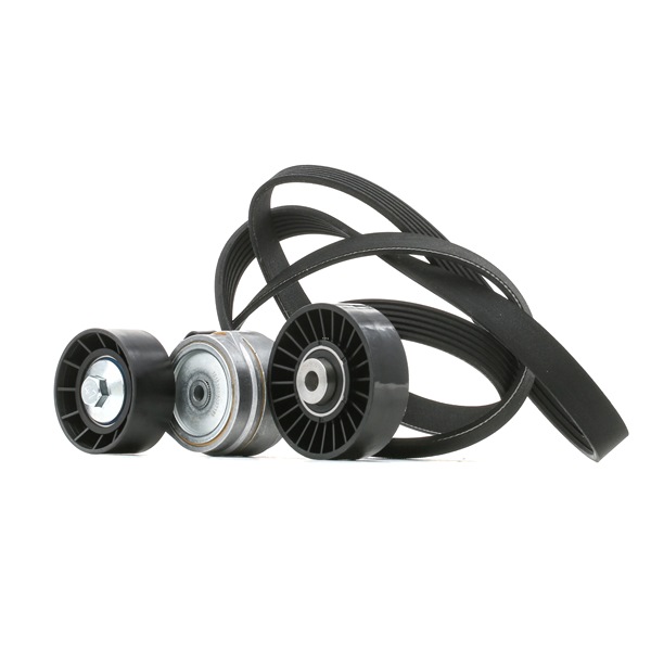 RIDEX 542R0028 Juego de correas trapeciales poli V