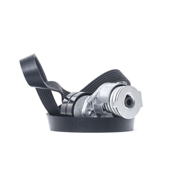 RIDEX 542R0029 Multiriem set Renault Megane 3 2.0 TCe 180 Pk Benzine prijs