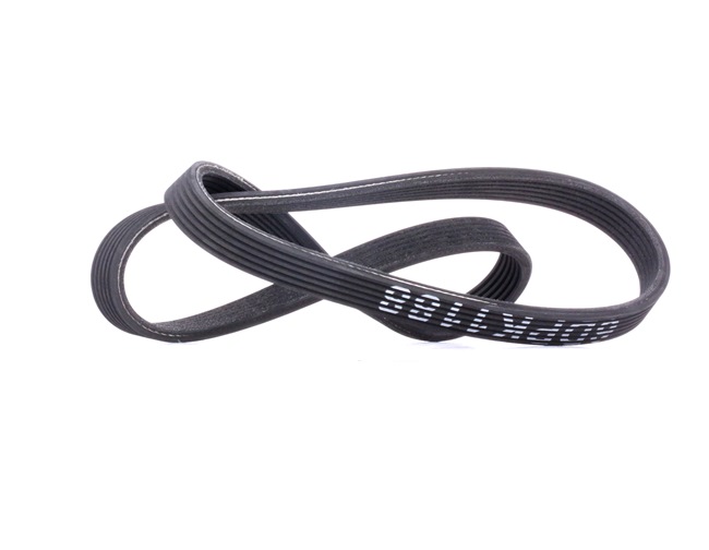 RIDEX 305P0372 Courroie Poly-V
