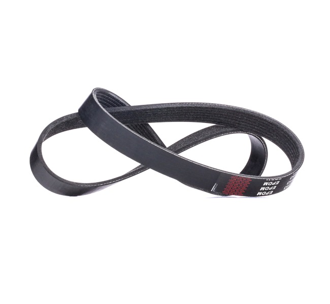 Cinghia servizi 305P0383 RIDEX 11 72 0JD 00C FIAT