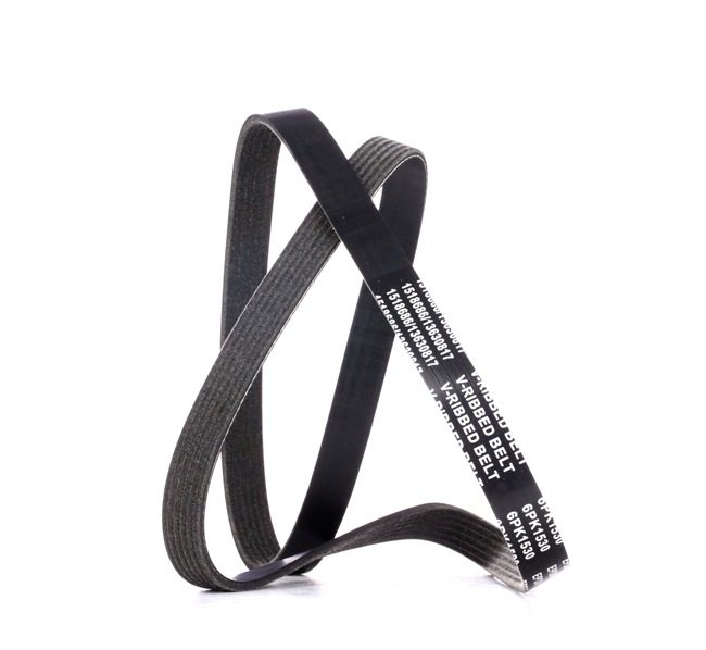 Multiriem 305P0387 RIDEX 6 200 269 VW