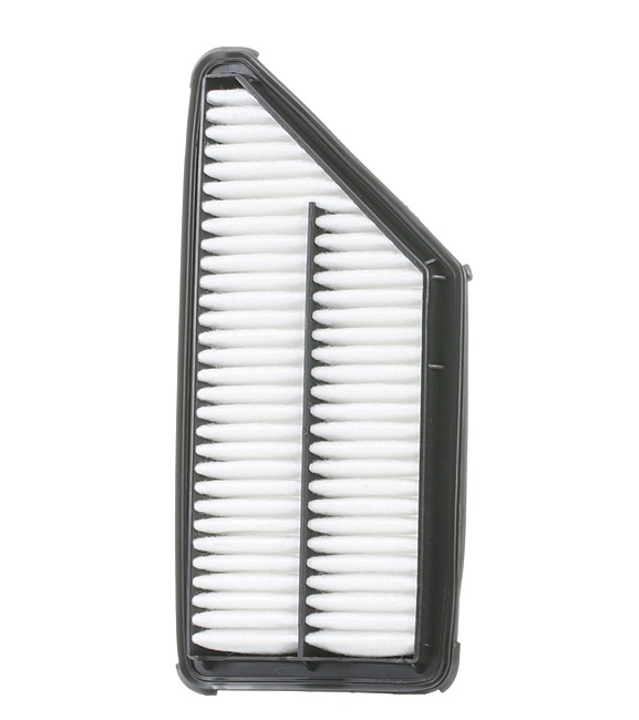 RIDEX 8A0567 Luftfilter