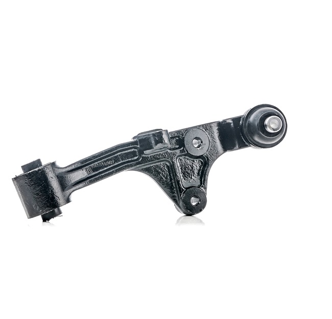 RIDEX 273C0644 Dreieckslenker KIA Carnival I (GQ) 2.9 TDi 126 PS Diesel Kosten