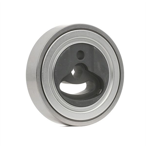 Polea tensora, correa poli V 310T0116 RIDEX 49160-81A00 SUZUKI
