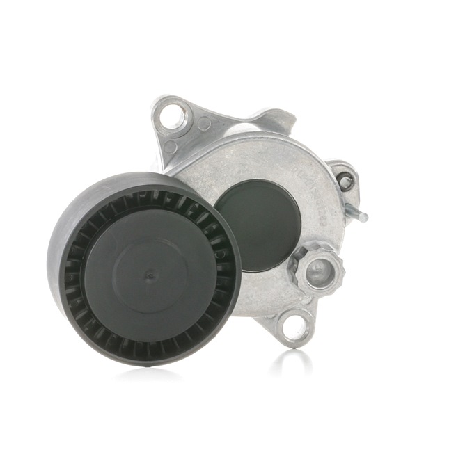 RIDEX 310T0158 Spanrol, poly v-riem Mercedes Sprinter 906 414 CDI (906.153, 906.155, 906.253, 906.255) 143 Pk Diesel prijs