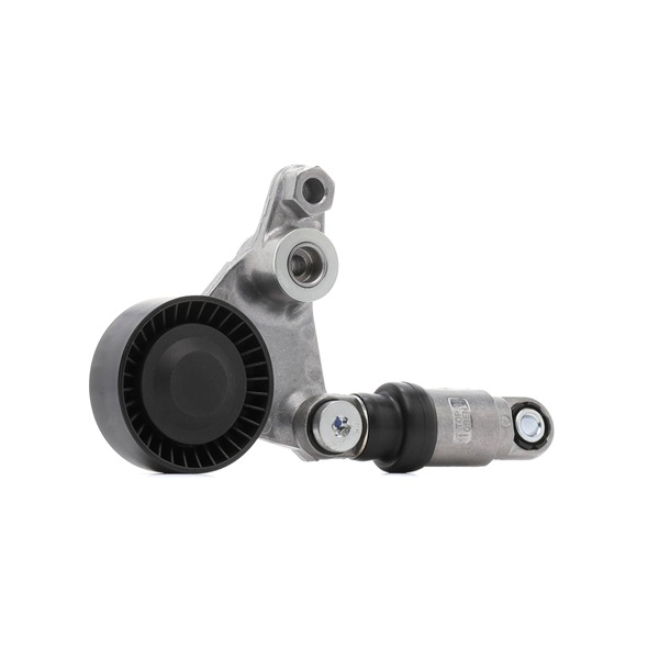 Strammehjul, kilerem 310T0217 RIDEX 59 54 771 Remstrammer, kilerem 310T0217 RIDEX 5954771 BMW