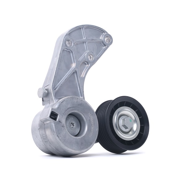RIDEX Kiristysrulla, moniurahihna 310T0219 PORSCHE Kiristysrulla RIDEX 310T0219