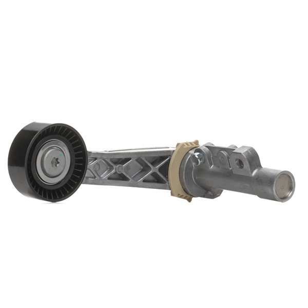 Polea tensora, correa poli V 310T0233 RIDEX 5751E7 BMW