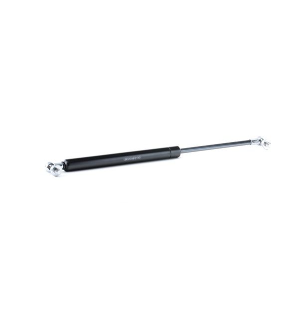 RIDEX 219G0417 Heckklappendämpfer