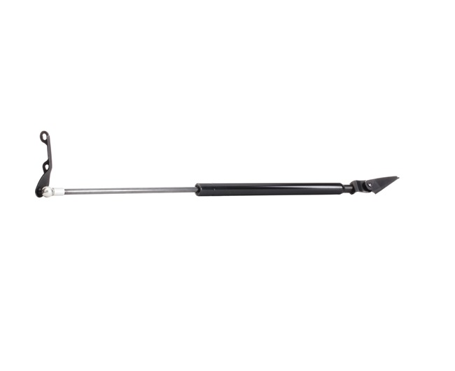 RIDEX 219G0421 Kofferraum Dämpfer Toyota Yaris P1 1.5 (NCP13_) 106 PS Benzin Kosten