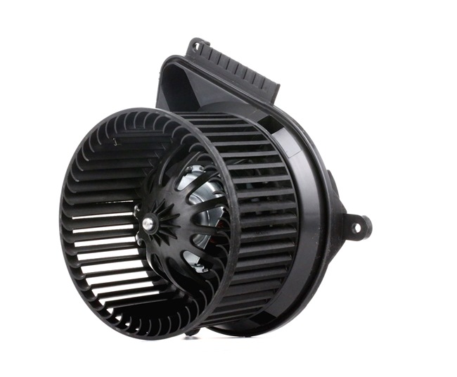 RIDEX 2669I0054 Interieurventilatie