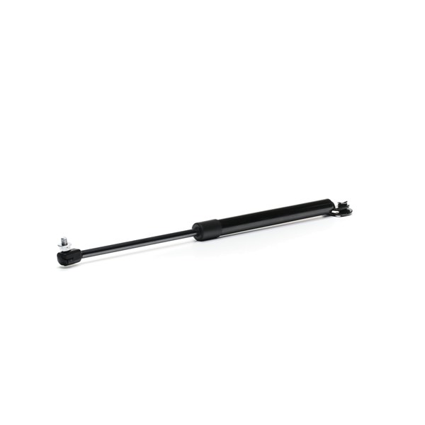 RIDEX 219G0562 Heckklappendämpfer