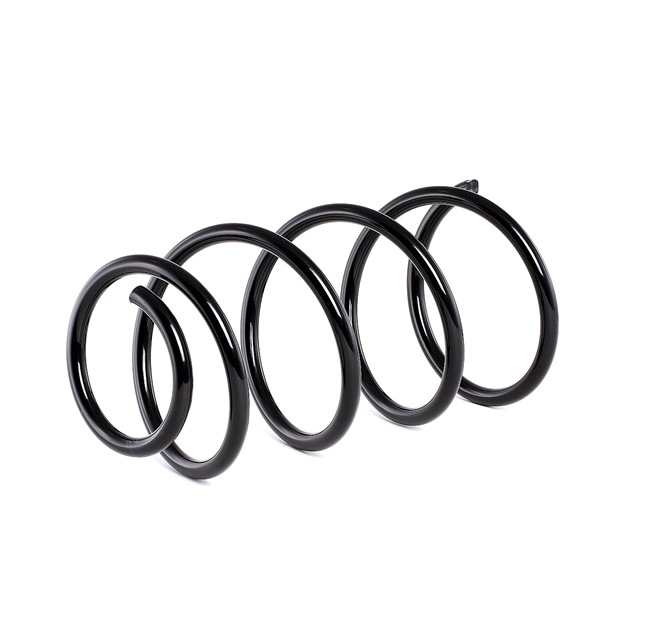 RIDEX 188C0336 Federn Rover 75 rj 2.5 V6 175 PS Benzin Kosten