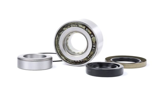 RIDEX 654W0698 Wiellagerset