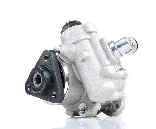 Servopump 12H0124 RIDEX ERR 5407 BMW