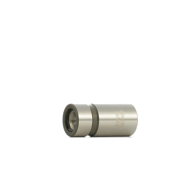 RIDEX 1216R0107 Punteria idraulica