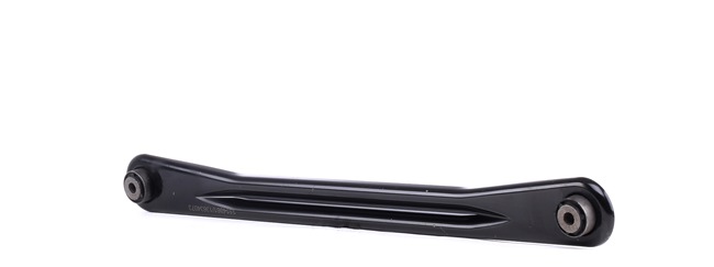 RIDEX 273C0779 Dreieckslenker Ford Mondeo BFP 2.5 24V 170 PS Benzin Kosten