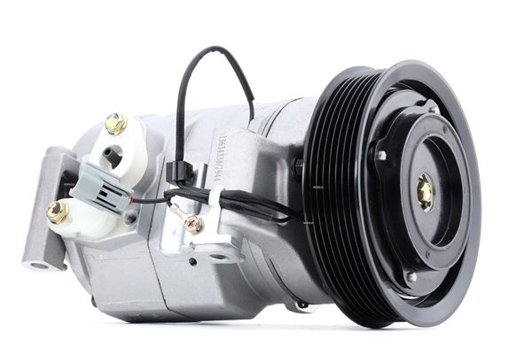 RIDEX 447K0246 Aircopomp