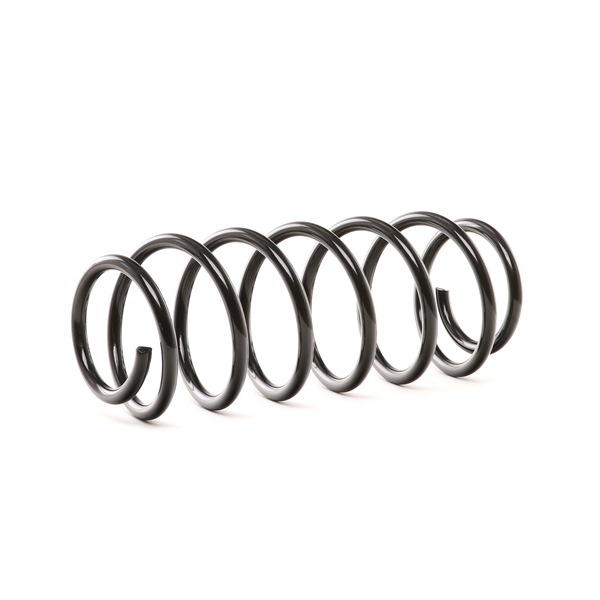 RIDEX 188C0451 Chassisveer