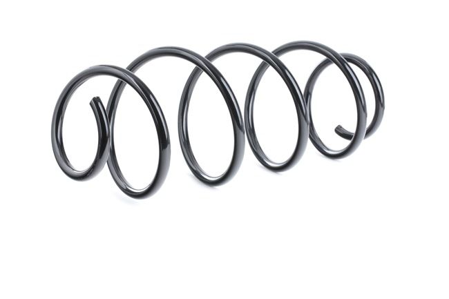 RIDEX 188C0456 Jouset Fiat Stilo Farmari 1.6 16V 103 hv Bensiini hinta