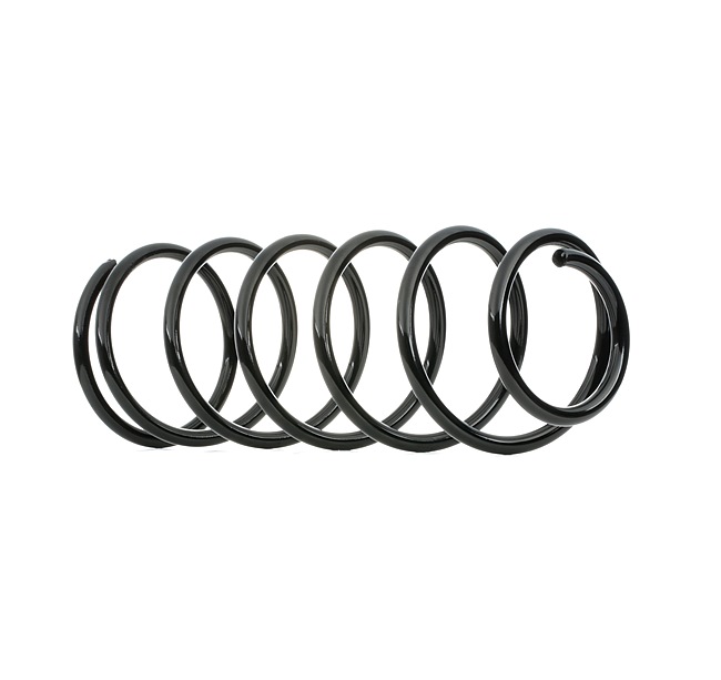 RIDEX 188C0473 Federn Ford Sierra MK2 2.0 i 120 PS Benzin Kosten