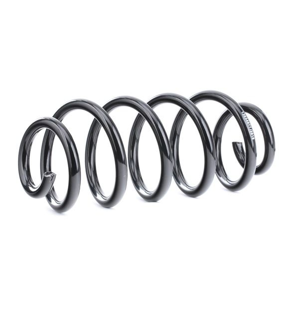 Jousi (auton jousitus) 188C0490 RIDEX 8D0 411 105 BN VW