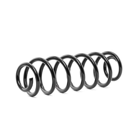RIDEX 188C0497 Coil spring