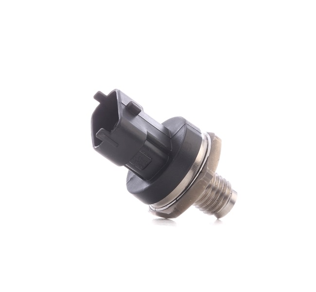 RIDEX 3942S0020 Rampa de inyección combustible Megane 2 1.9 dCi 110 cv Gasóleo precio
