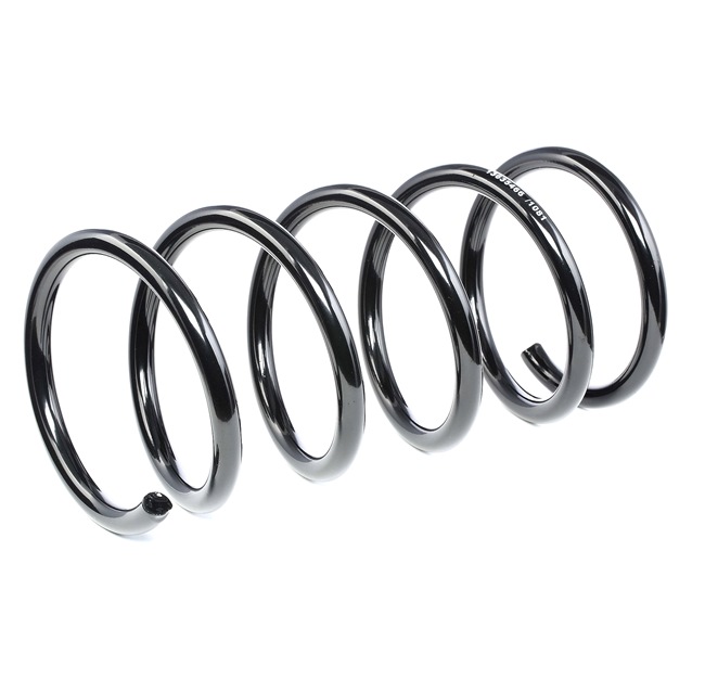 RIDEX 188C0538 Fahrwerksfedern Volvo s60 1 2.4 D 130 PS Diesel Kosten