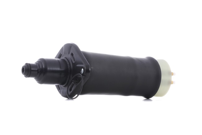 RIDEX 4119A0007 Pneimo spilvens