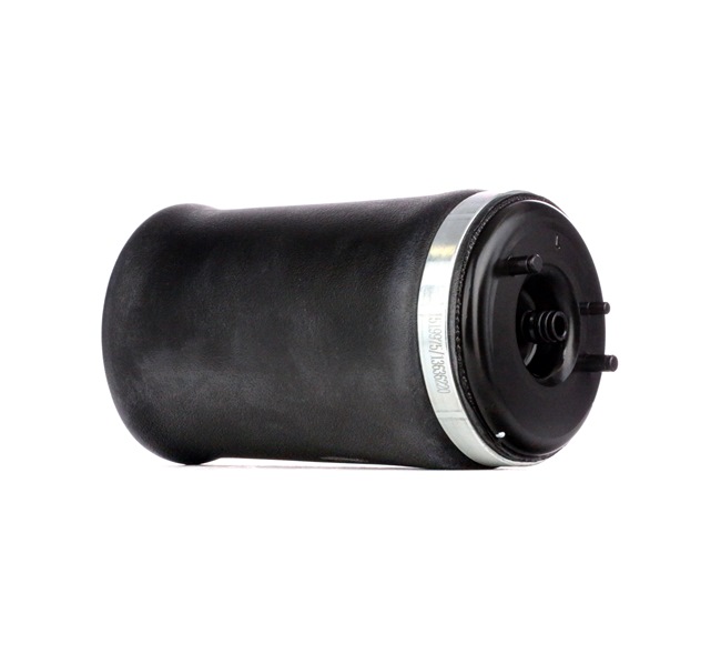 RIDEX 4119A0009 Luftbelg