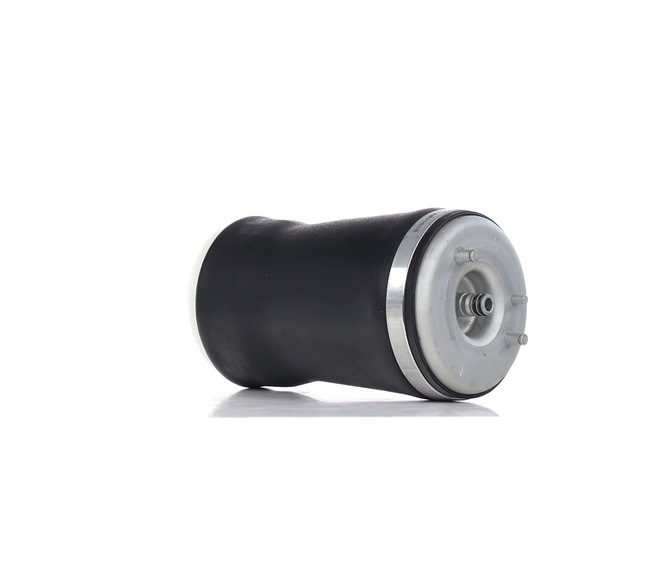 Ressort pneumatique 4119A0019 RIDEX 6750355 BMW