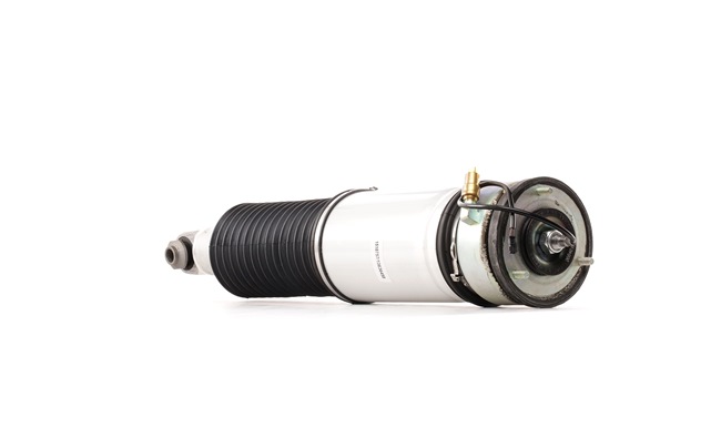 Luftfjederben 4118A0009 RIDEX 37 12 6 785 536 BMW