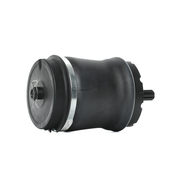 RIDEX 4119A0024 Ilmajousi